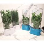 Kitchen HQ 2-pack Herb Keepers
