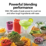 Hamilton Beach Power Elite Multi-Function Blender with Mess Free 40 oz. Glass Jar and 3-Cup Chopper, Mini Food Processor, 700 Watts, Stainless Steel, 58149