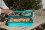 Fancy Panz Plastic 9" x 13" Aqua Foil Pan Carrier 1ct