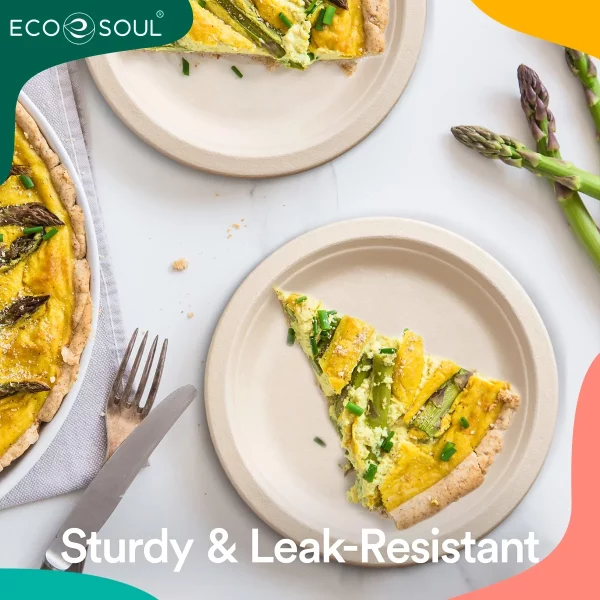 ECO SOUL 100% Compostable 6 Inch Bagasse Paper Plates, 100 counts | Heavy-Duty Disposable Appetizer Plates | Eco-Friendly Made of Sugarcane Fibers-Natural Biodegradable Plates