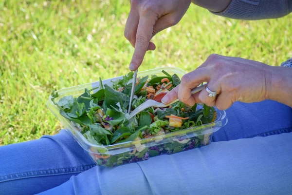 Great Value Disposable Compostable Assorted Cutlery, Beige, 24 Count