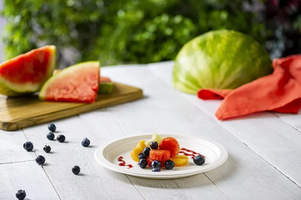 Comfy Package 9? Compostable Round Paper Plates Heavy Duty Plate, 250-Pack