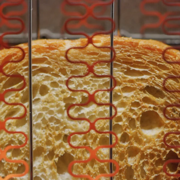 Revolution Cooking InstaGLO R180 Toaster in Stainless Steel