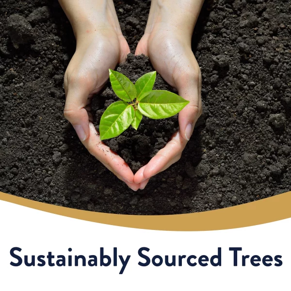 Great Value Ultra Strong Paper Towels, White, 6 Double Rolls