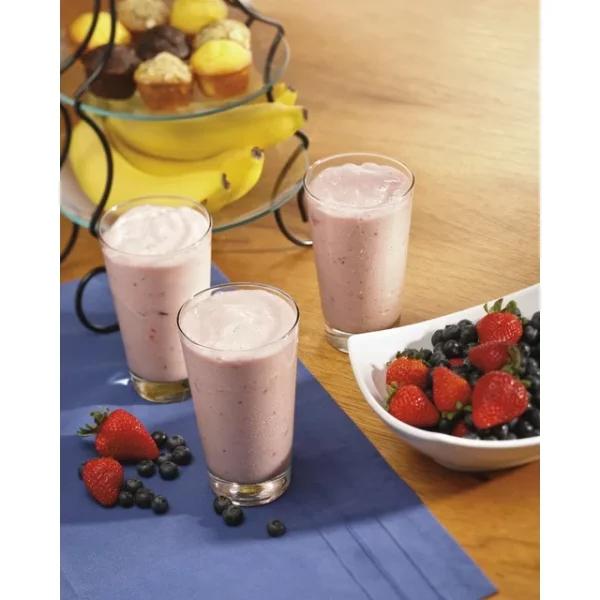 Hamilton Beach 4 Speed Wave Station Blender Model# 58615