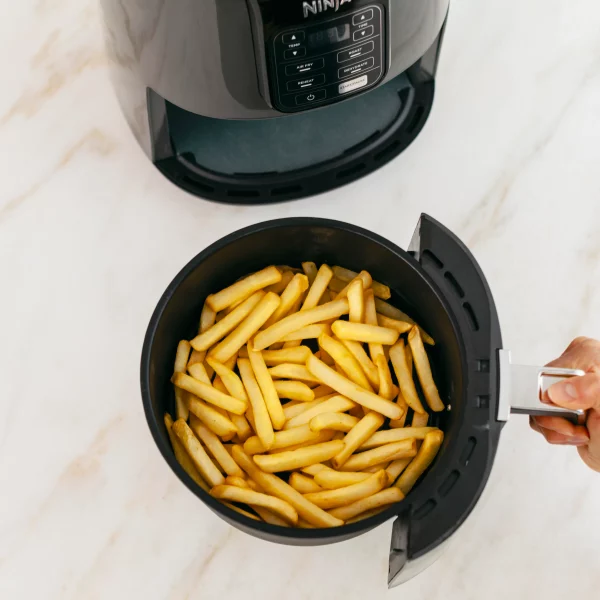 4 qt. Electric Black Air Fryer with Recipe Book (AF101)