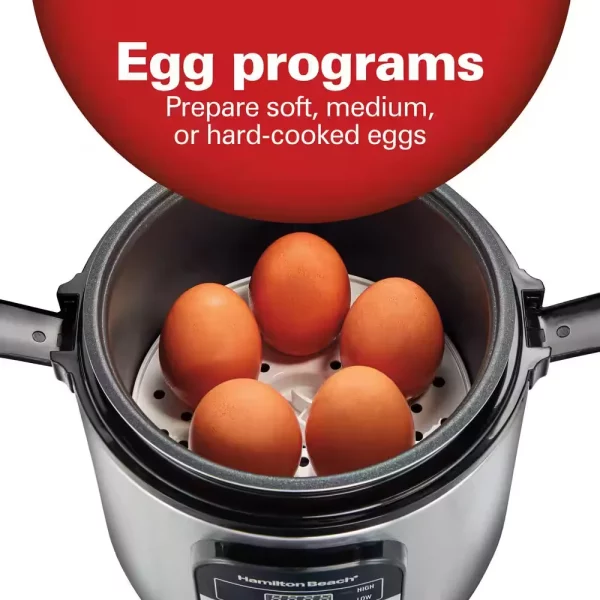 Compact 1.5 Qt. Stainless Steel Electric Multi-Cooker