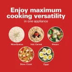 Compact 1.5 Qt. Stainless Steel Electric Multi-Cooker