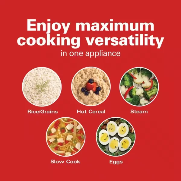 Compact 1.5 Qt. Stainless Steel Electric Multi-Cooker
