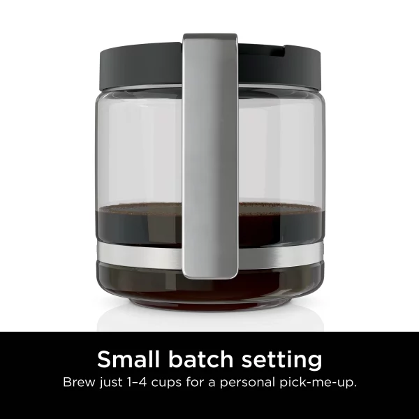 Ninja DCM200 Programmable XL 14-Cup Coffee Maker, 14-Cup Glass Carafe, Permanent Filter, Stainless Steel