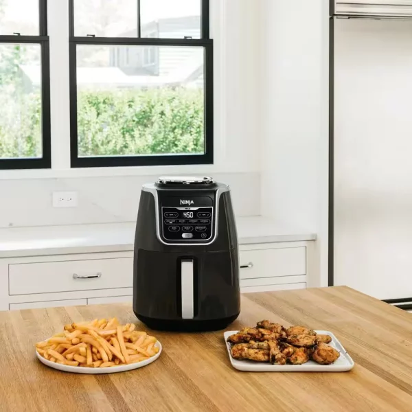 Air Fryer Max XL, 5 Qt. in Grey (AF161)