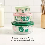 6-piece Glass Food Storage Set: Hello Kitty, Fern
