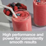 52 oz. 4-Speed Silver Countertop Blender