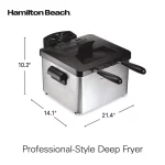 3 Qt. Stainless Steel Professional-Style Deep Fryer