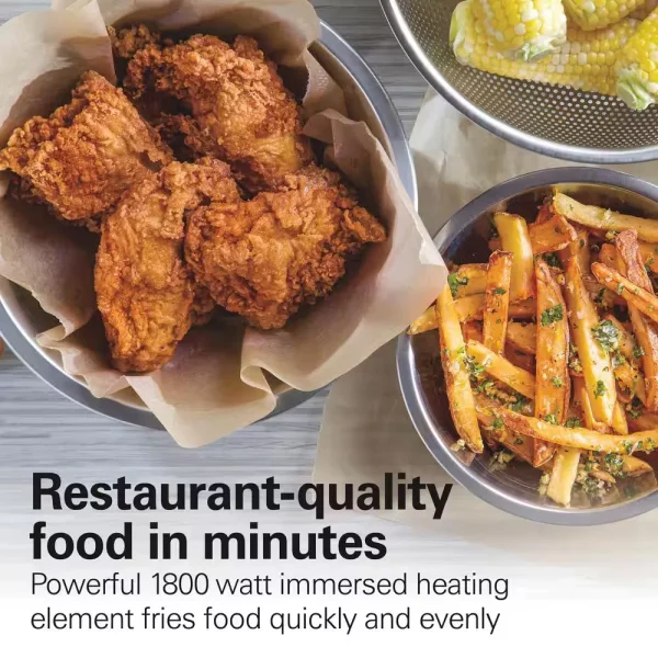 3 Qt. Stainless Steel Professional-Style Deep Fryer