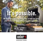 Original Gourmet BBQ System Pizza Stone Insert