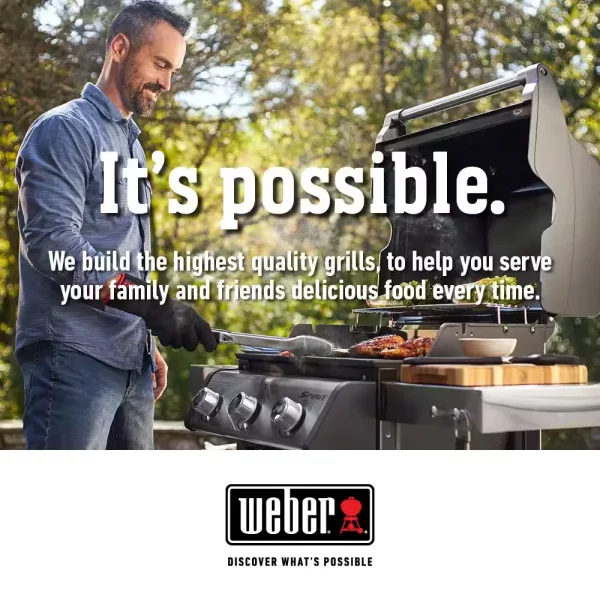 Original Gourmet BBQ System Pizza Stone Insert